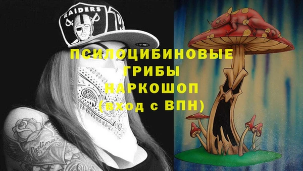 марки lsd Белокуриха
