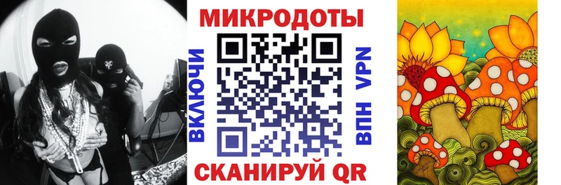 Псилоцибиновые грибы Cubensis как найти Моздок